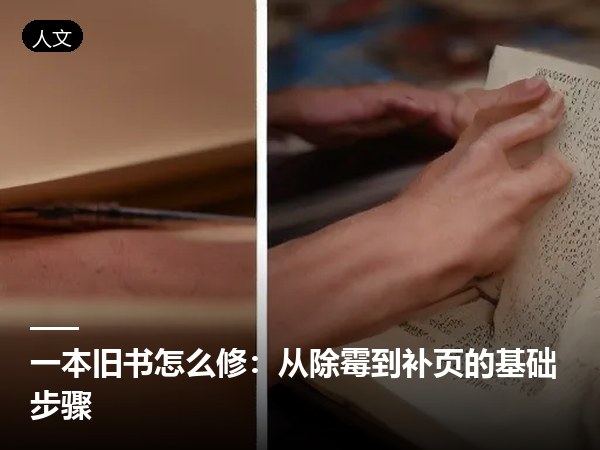 一本旧书怎么修：从除霉到补页的基础步骤